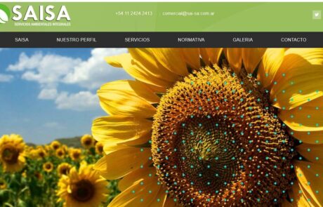 Diseño de página Web institucional para SAISA se muestra la solapa inicio