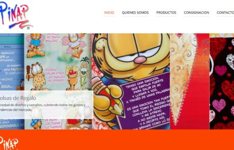Diseño-web-pinap-ediciones4